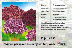 geranium-frans