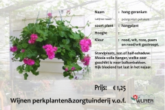 geranium-hang