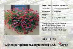 geranium-oostenrijks