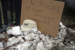 01a-sneeuwpop