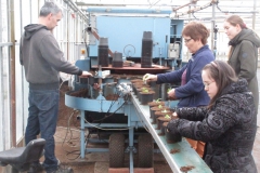 03-perkplanten (8)