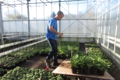 01-perkplanten (2)