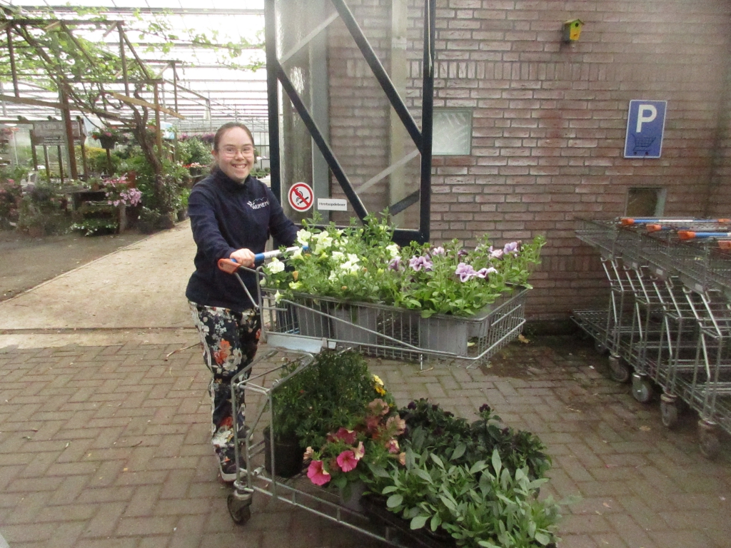 03-perkplanten (3)