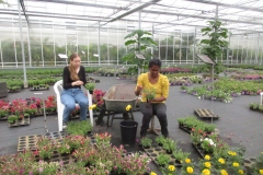 03-perkplanten (1)