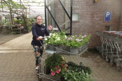 03-perkplanten (3)