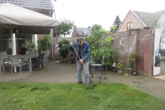 tuin (2)