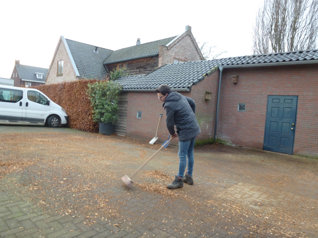 02-hout (2)