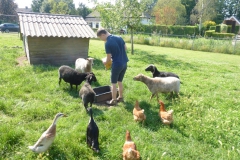 03-dieren (2)