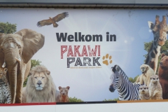 P1020809a
