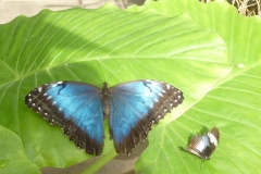 P1020887