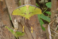 P1020889