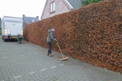 P1030366