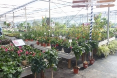 P1050397