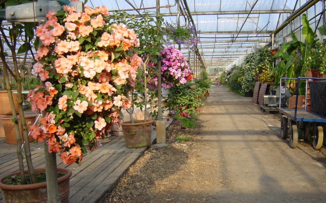 Nieuwe website!!