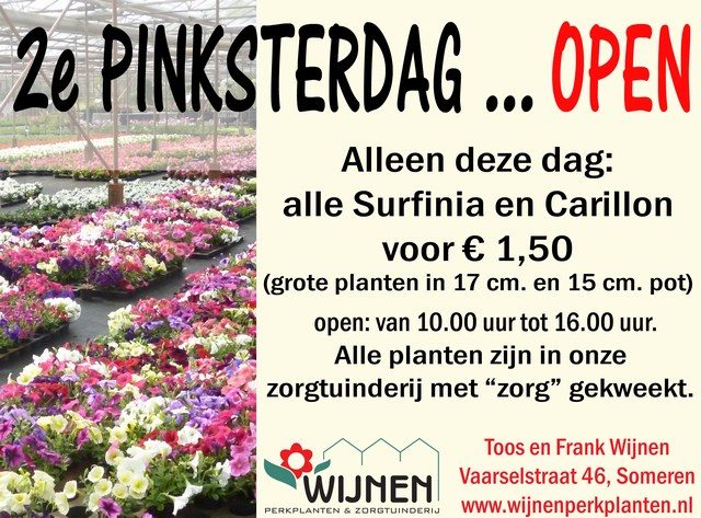 Het perkplantenseizoen is volop aan de gang.