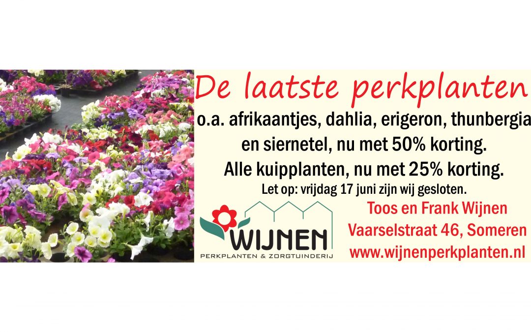 De laatste perkplanten