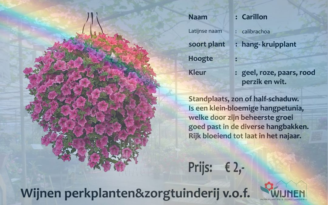 AANBIEDING !!!!