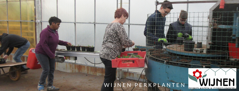 Perkplanten oppotten