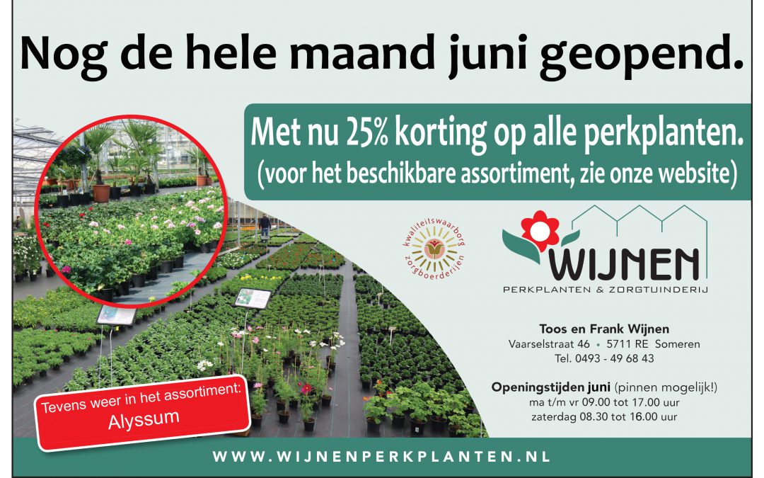 25% KORTING op alle perkplanten.